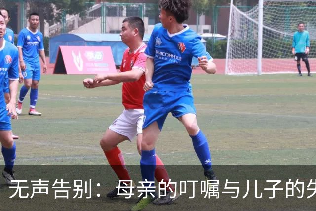 无声告别：母亲的叮嘱与儿子的失落