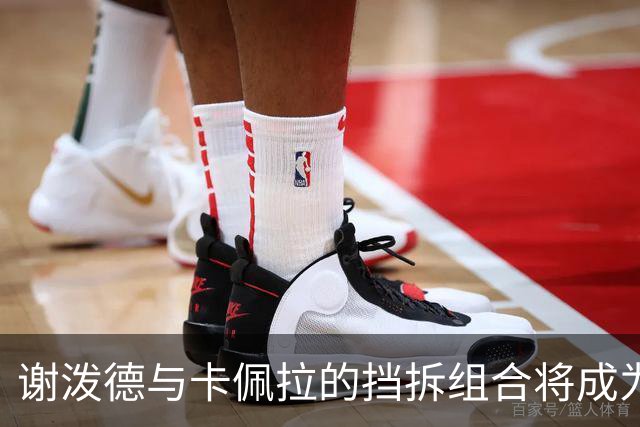 谢泼德与卡佩拉的挡拆组合将成为火箭新亮点